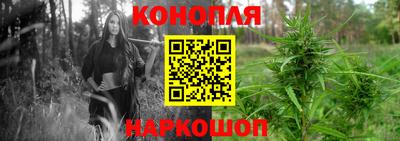 сатива Донецк