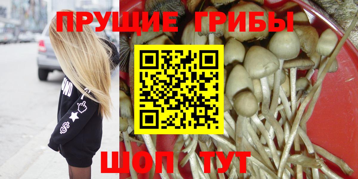 Люберцы  Псилоцибиновые грибы MAGIC MUSHROOMS  Псилоцибиновые грибы Psilocybine cubensis  купить  цена  Вход с VPN 