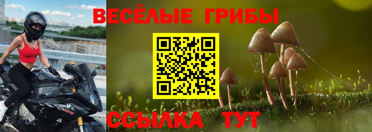 Галлюциногенные грибы Cubensis Люберцы